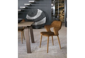 Apri gallery